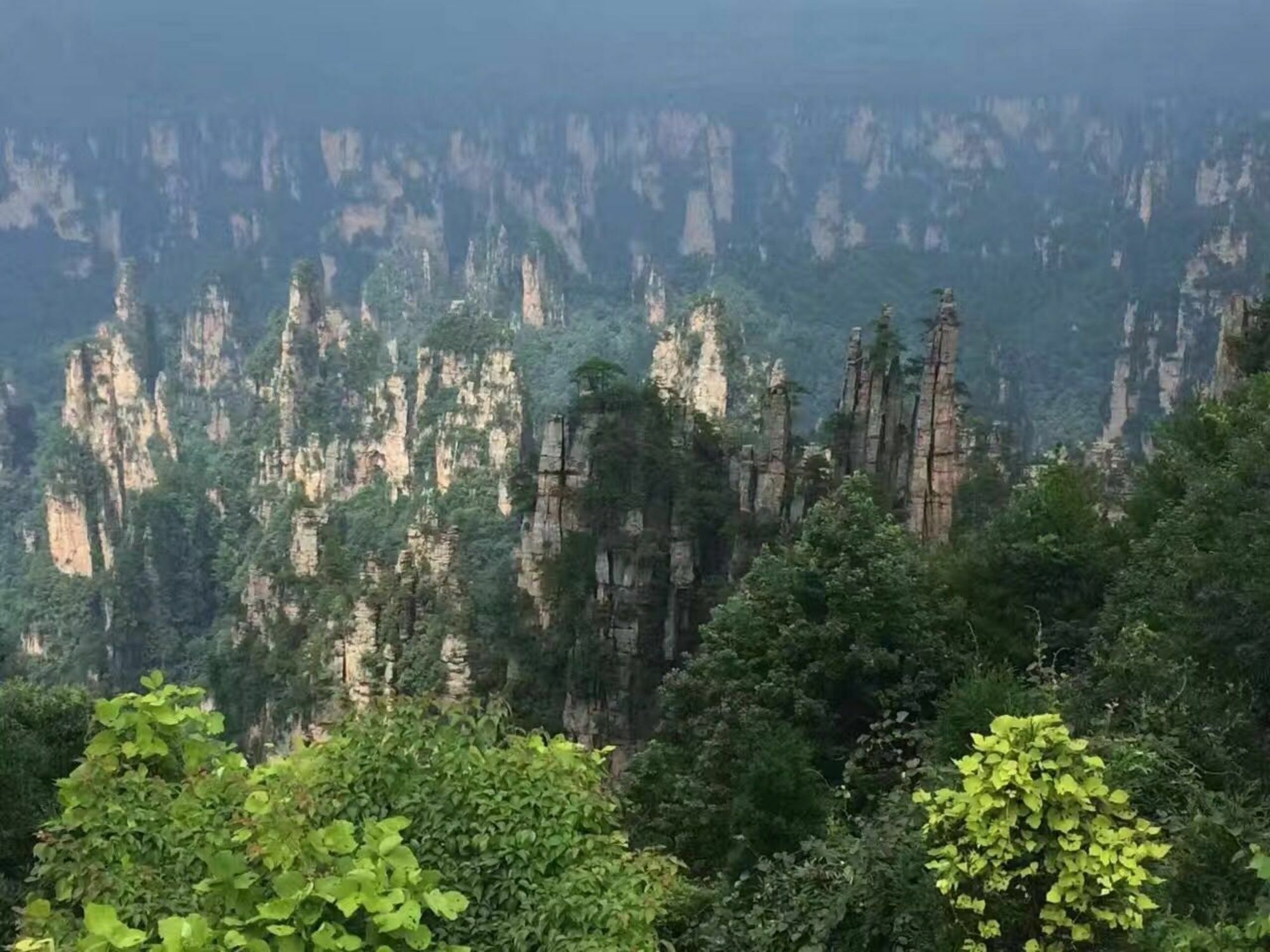 Zhangjiajie Yueranju Hostel Extérieur photo